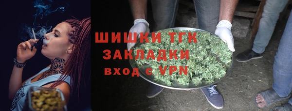 прущие грибы Беломорск