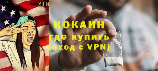 прущие грибы Беломорск