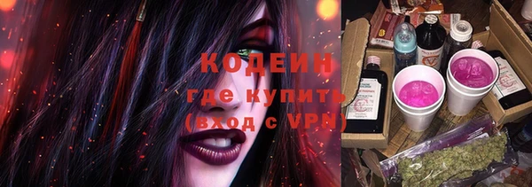 прущие грибы Беломорск
