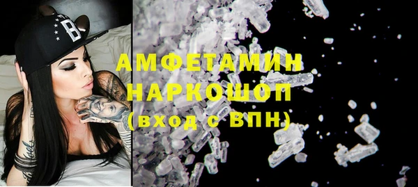 прущие грибы Беломорск