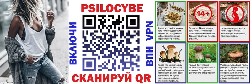 Псилоцибиновые грибы Cubensis  Курганинск 